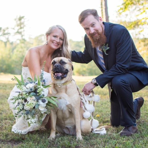 Meet your Posher, Molly - Picture 4 of 4